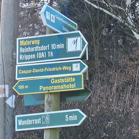 Ferienwohnung Blick Zum Zirkelstein Reinhardtsdorf-Schona Eksteriør billede