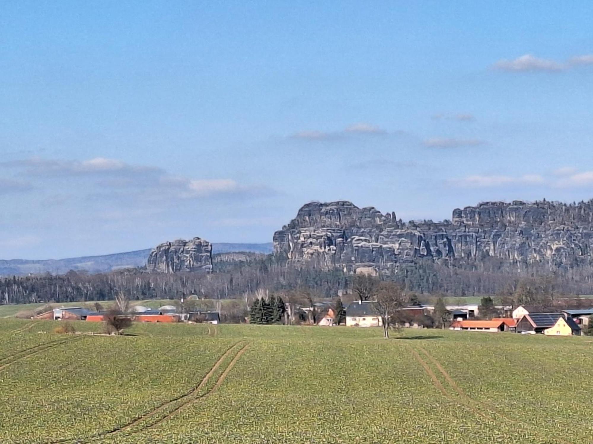 Ferienwohnung Blick Zum Zirkelstein Reinhardtsdorf-Schona Eksteriør billede