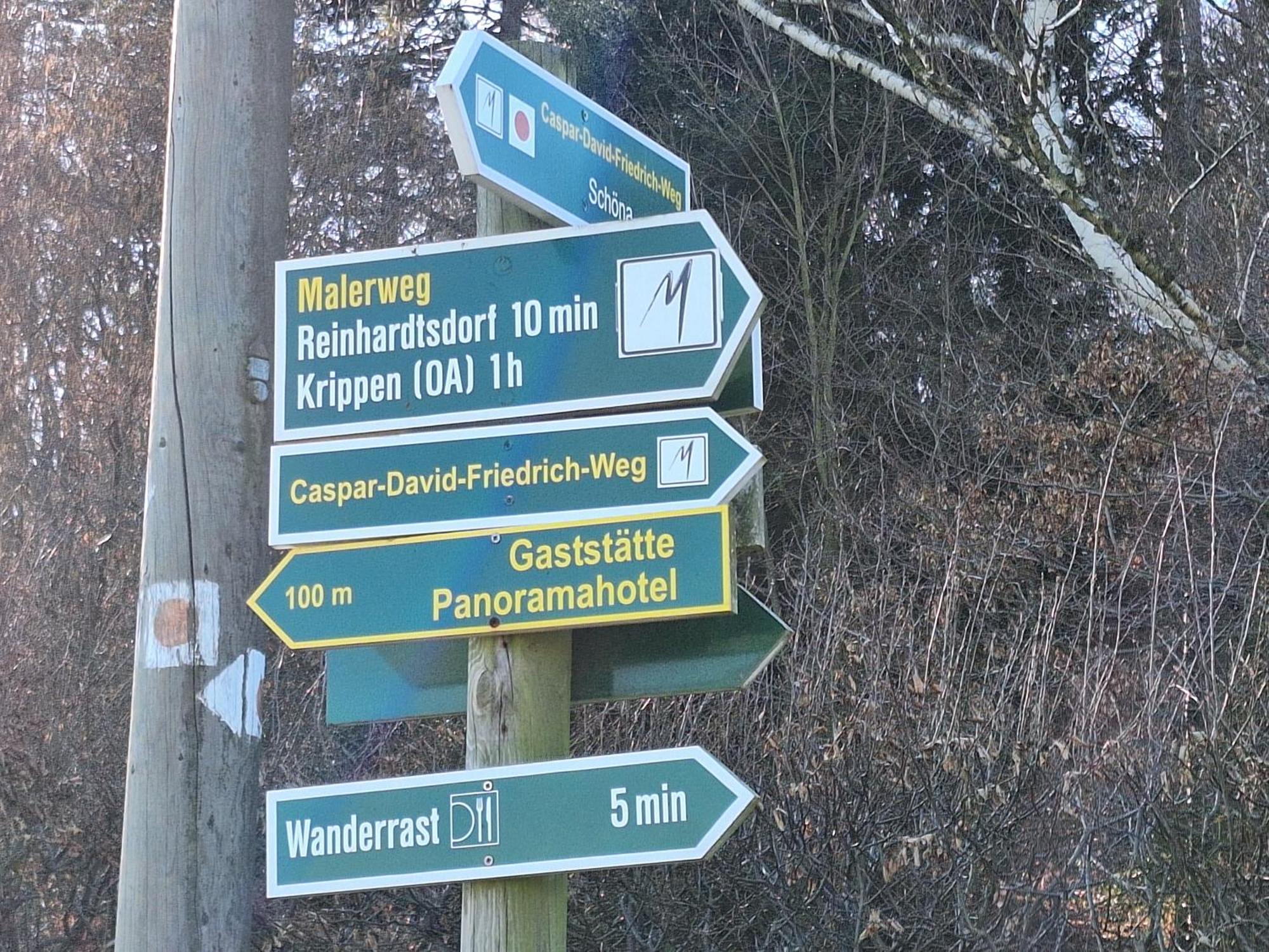 Ferienwohnung Blick Zum Zirkelstein Reinhardtsdorf-Schona Eksteriør billede